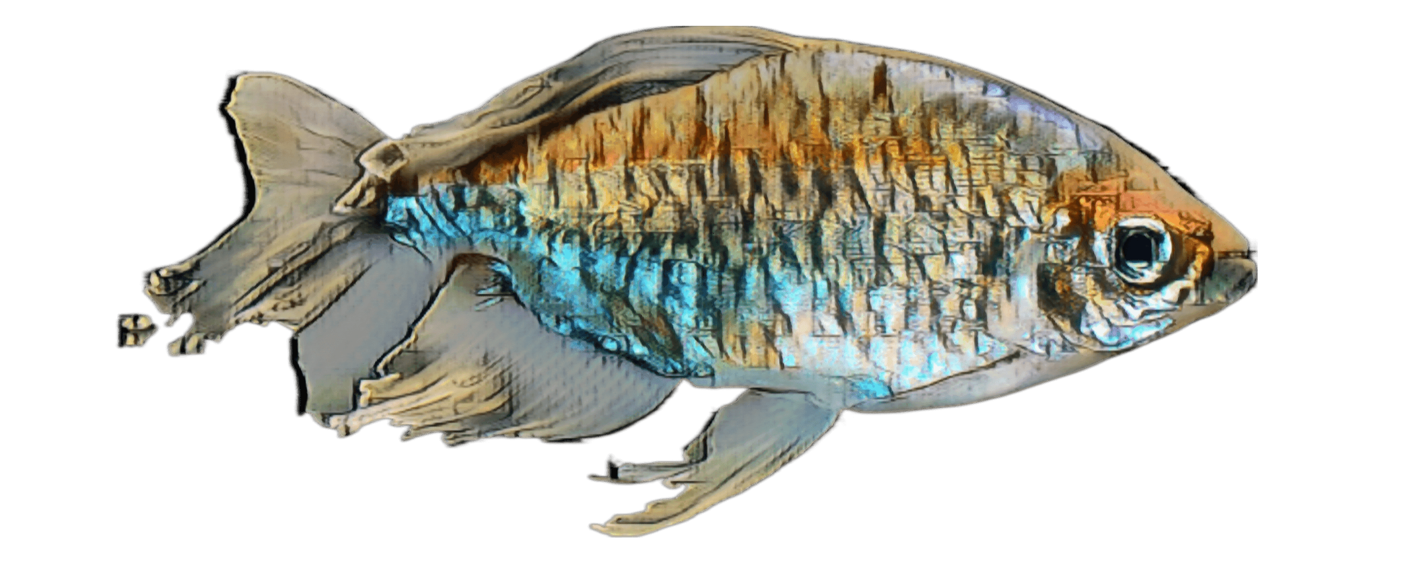 species-image