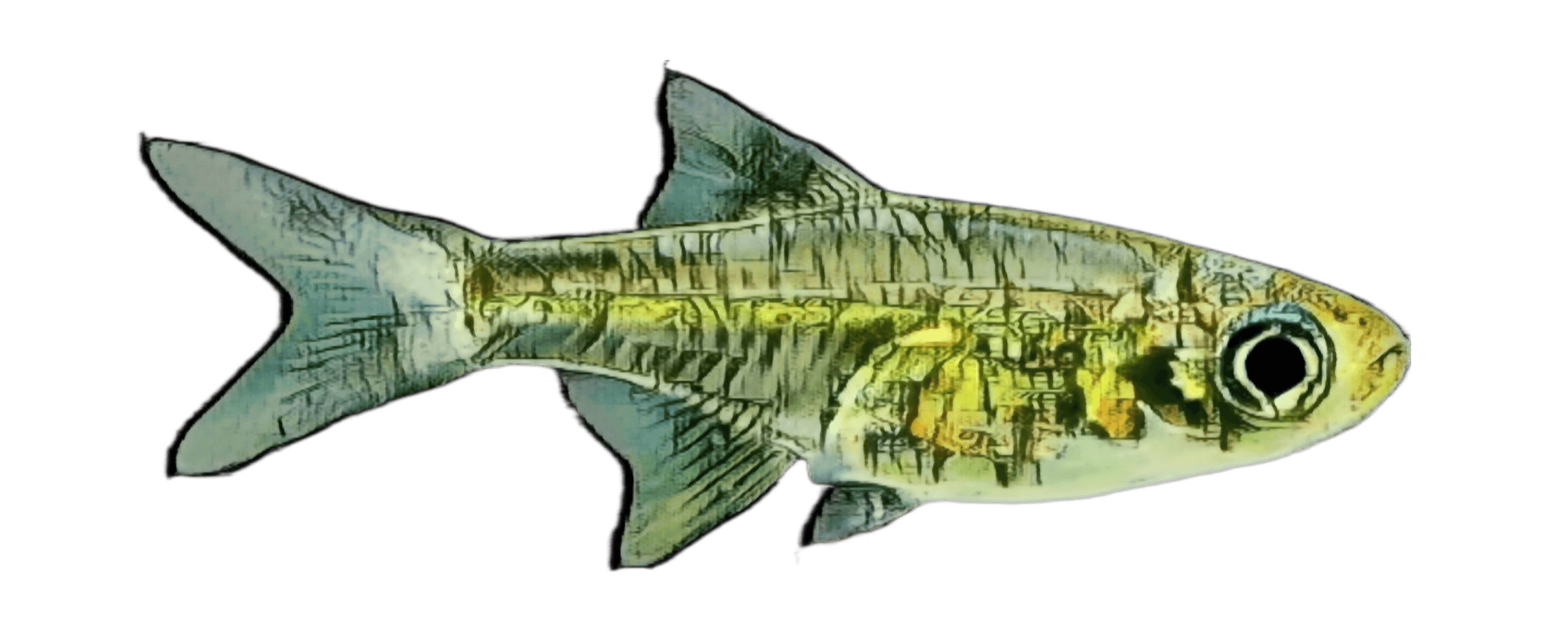 species-image