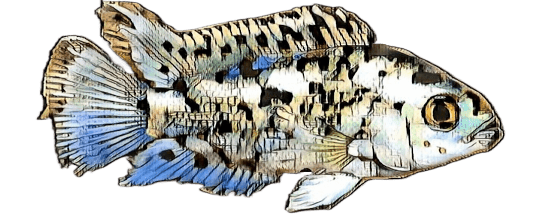 species-image